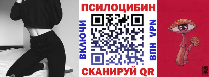 дарнет шоп  Ясный  Псилоцибиновые грибы Magic Shrooms 